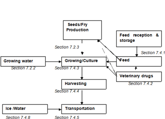 Figure D.2 — Example of a flow chart for aquaculture production