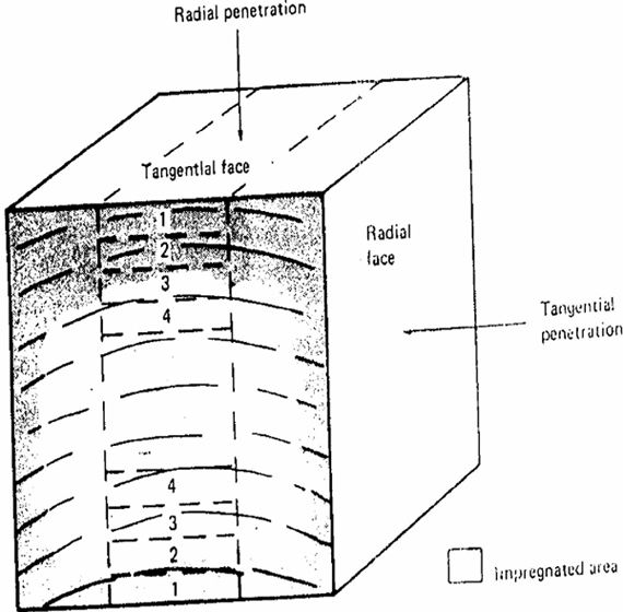 Figure 2 — Example of a sampling technique for the study of radial penetration