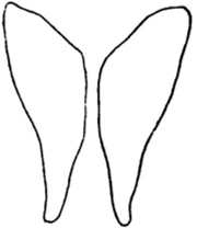 Figure 6 — Single fillets