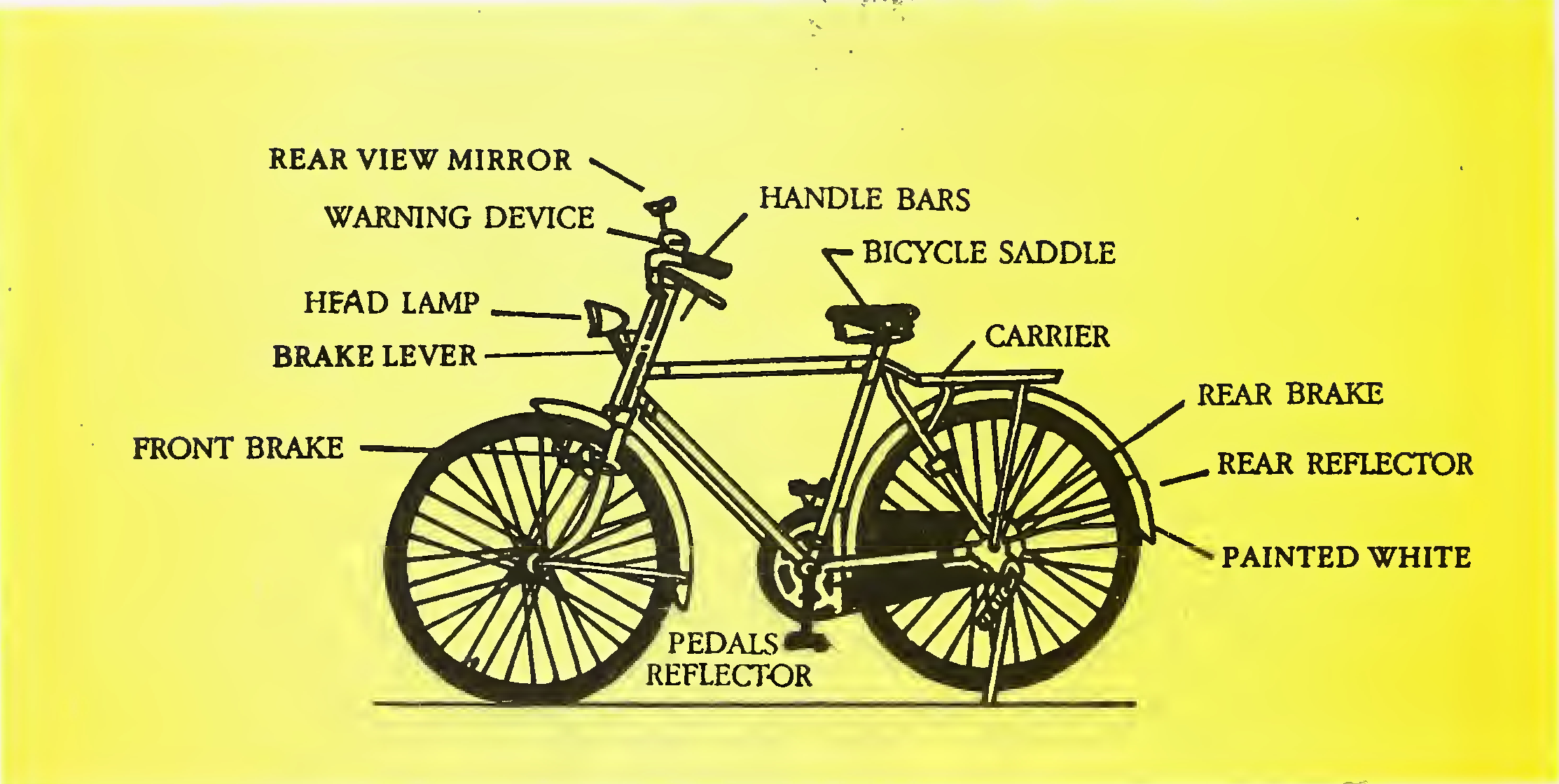 Fig. 19. The Typical Bicycle