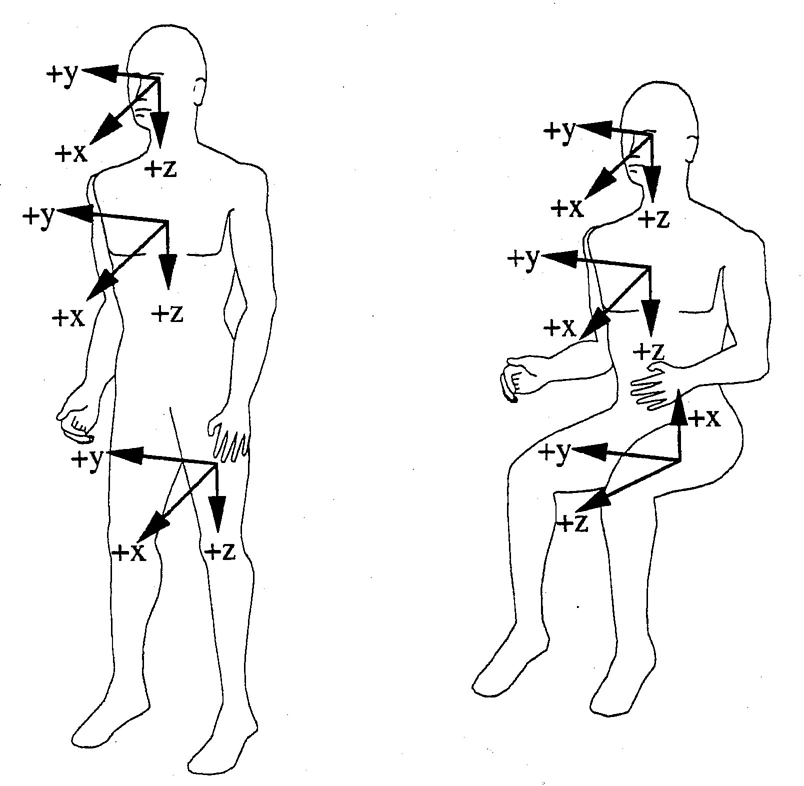 FIGURE 5—ORIENTATIONS OF STANDARDIZED DUMMY COORDINATE SYSTEMS FOR STANDING AND SEATED POSTURES