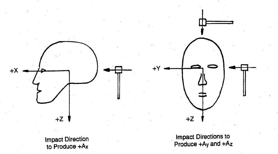 FIGURE 6—HEAD IMPACT DIRECTIONS THAT PRODUCE POSITIVE HEAD ACCELERATIONS RELATIVE TO THE HEAD COORDINATE SYSTEM